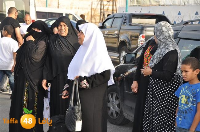 lud 3omrajs (45).JPG